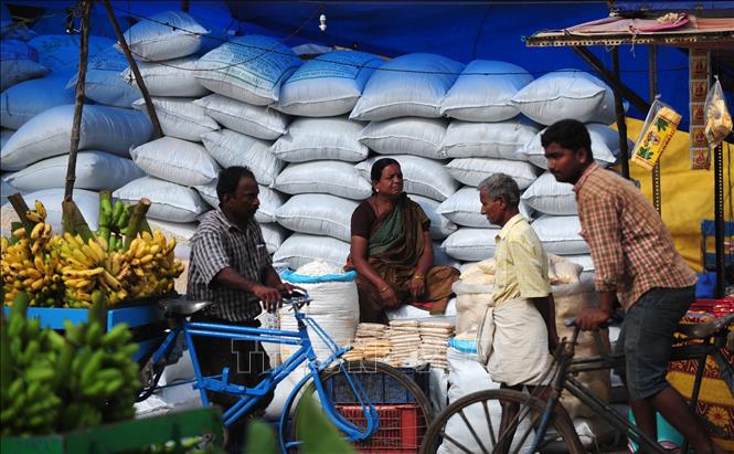 Giá gạo Ấn Độ giảm tuần thứ hai liên tiếp- Ảnh 1.