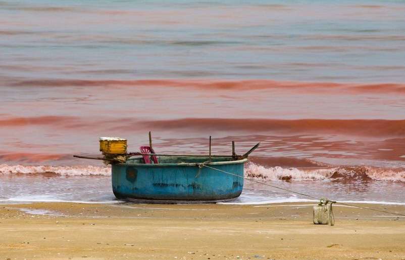 Vệt nước biển kéo dài khoảng 3km ở Hà Tĩnh có màu đỏ- Ảnh 3.