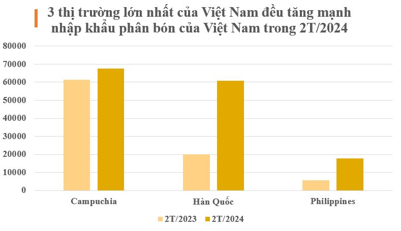 Trung Quốc cấm xuất khẩu, một mặt hàng của Việt Nam lên ngôi vương tại châu Á: Hàn Quốc tăng mua hơn 200%, thu gần 150 triệu USD trong 2 tháng- Ảnh 2.