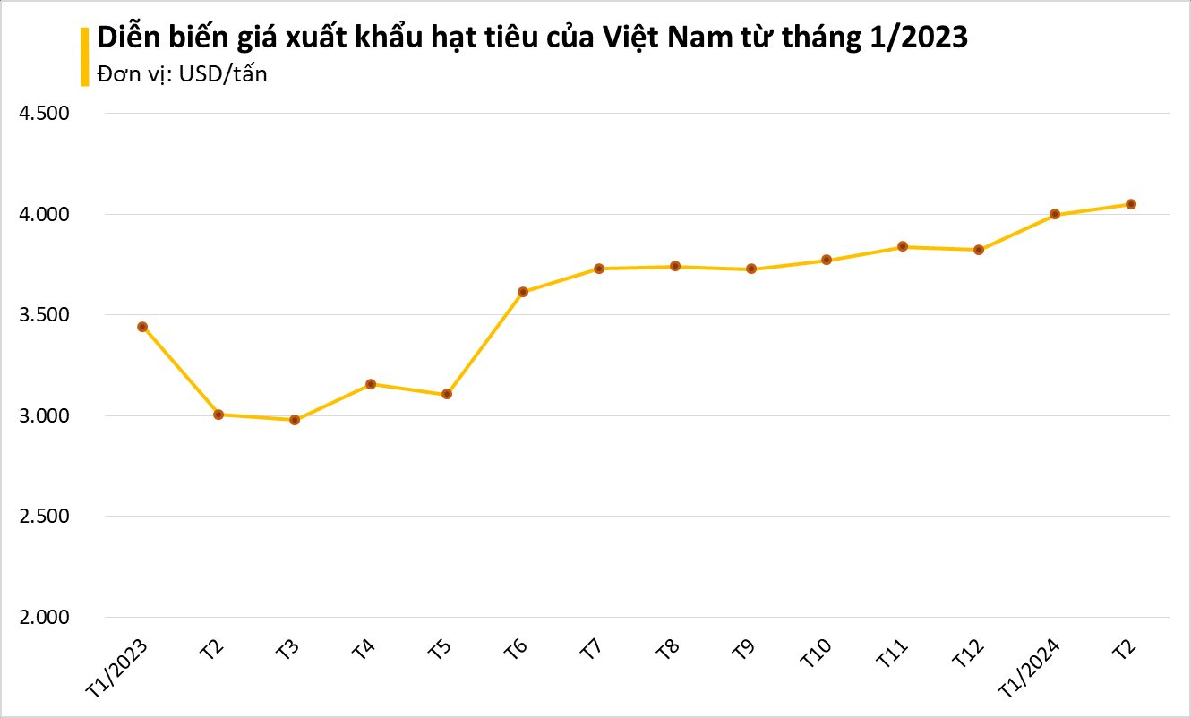 Châu Âu cất công săn mua hàng trăm tấn 'vàng trên cây' của Việt Nam: tăng nhập khẩu hơn 1.000%, giá trong nước liên tục lập đỉnh- Ảnh 2.