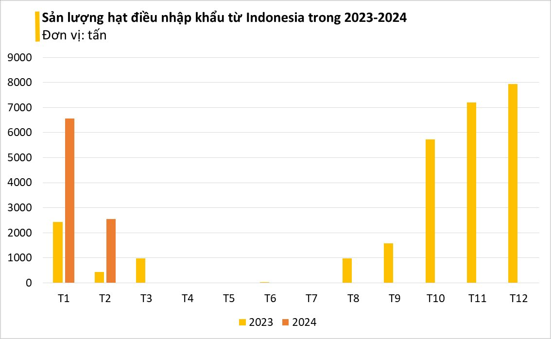 Xuất khẩu số 1 thế giới nhưng Việt Nam vẫn ồ ạt nhập loại hạt này từ Indonesia: sản lượng tăng hơn 400%, có khả năng chống ung thư và tiểu đường- Ảnh 3.