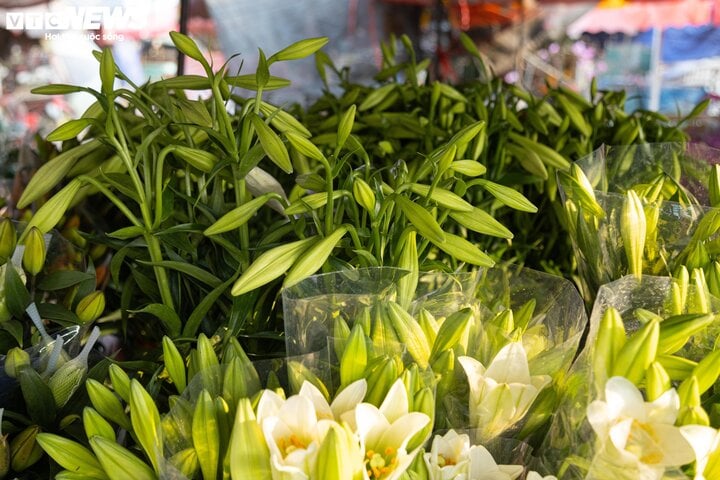 Hoa loa kèn đầu mùa xuống phố Hà Nội, giá chát vẫn hút khách mua- Ảnh 1.