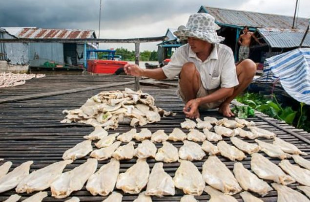 Cá tra Việt Nam thu hơn 200 triệu USD từ đầu năm, người Trung Quốc chuộng hơn cả hàng nội- Ảnh 1.