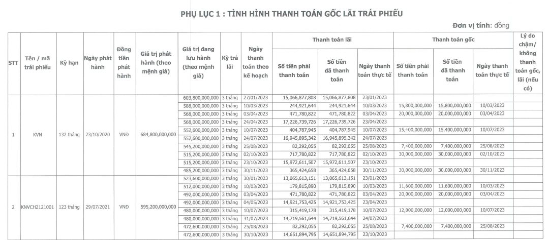 Gánh nặng lãi trái phiếu, Điện mặt trời KN Vạn Ninh báo lãi èo ọt hơn chục tỷ đồng- Ảnh 4.