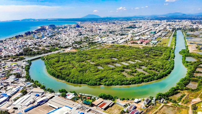 Bình Thuận bỏ dự án bất động sản để làm công viên sinh thái- Ảnh 1.