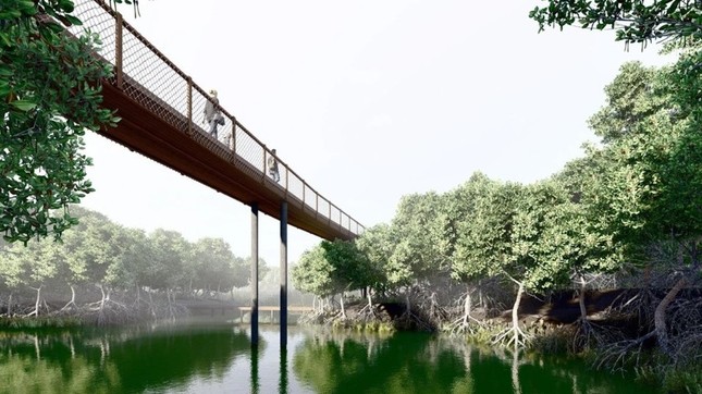 Bình Thuận bỏ dự án bất động sản để làm công viên sinh thái- Ảnh 2.