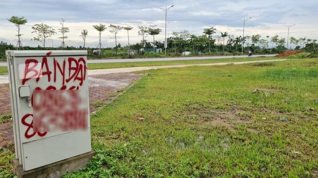 2 huyện sắp lên quận ở Hà Nội đấu giá hàng trăm lô đất, khởi điểm từ 19 triệu đồng/m2- Ảnh 1.