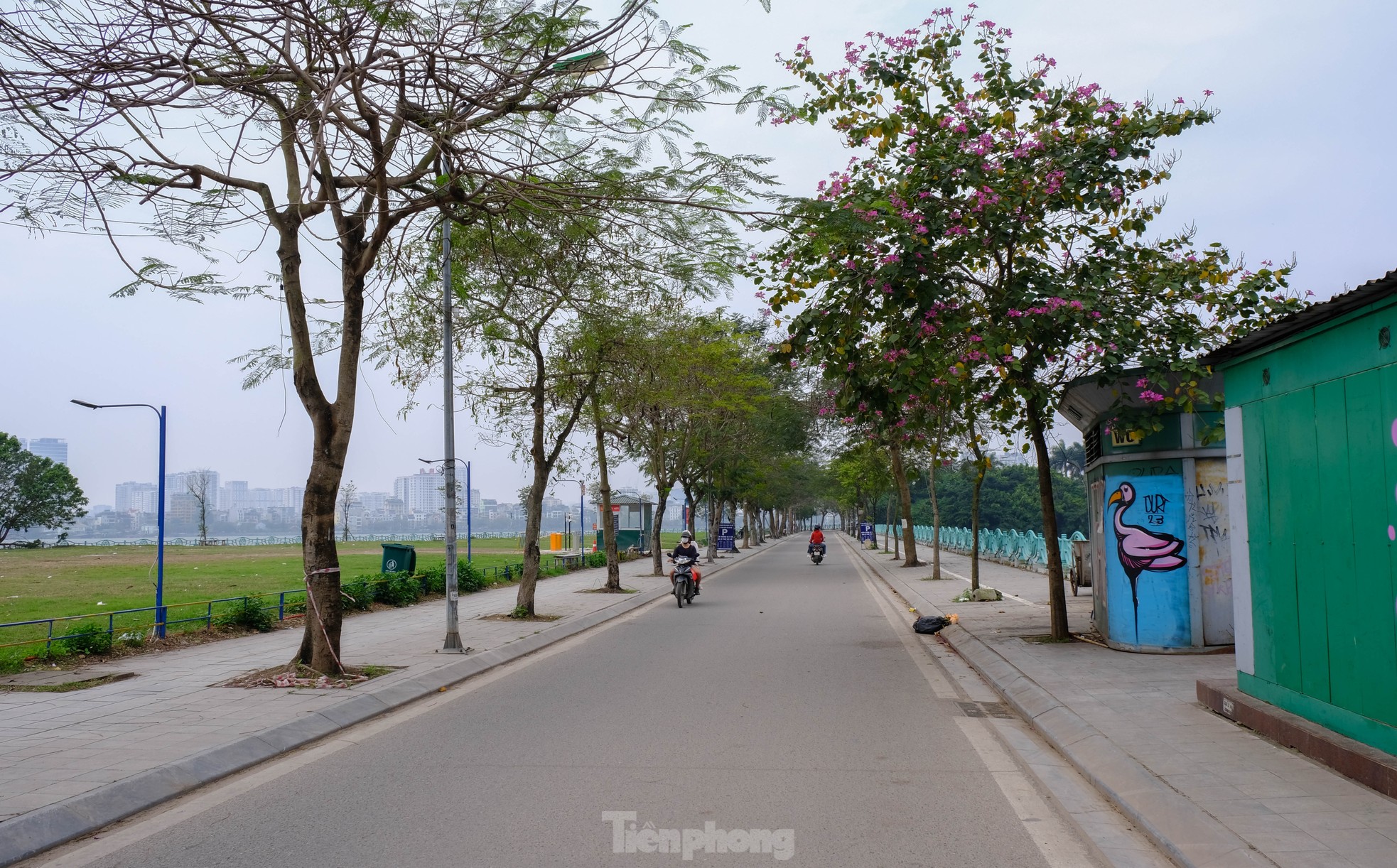 Con phố thú vị nhất thế giới ở Hà Nội- Ảnh 5.