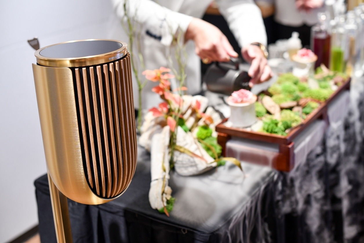 Cặp loa cao cấp có giá bằng 2 chiếc SH: Đắt xắt ra miếng, người có tiền mới dám mua- Ảnh 2. Cặp loa cao cấp có giá bằng 2 chiếc SH: Đắt xắt ra miếng, người có tiền mới dám mua- Ảnh 2.