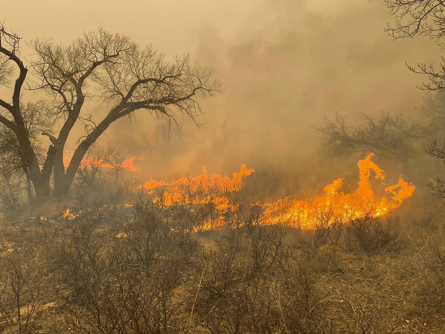 Vụ cháy rừng Smokehouse Creek ở Texas nghiêm trọng nhất trong lịch sử nước Mỹ- Ảnh 1. Vụ cháy rừng Smokehouse Creek ở Texas nghiêm trọng nhất trong lịch sử nước Mỹ- Ảnh 1.