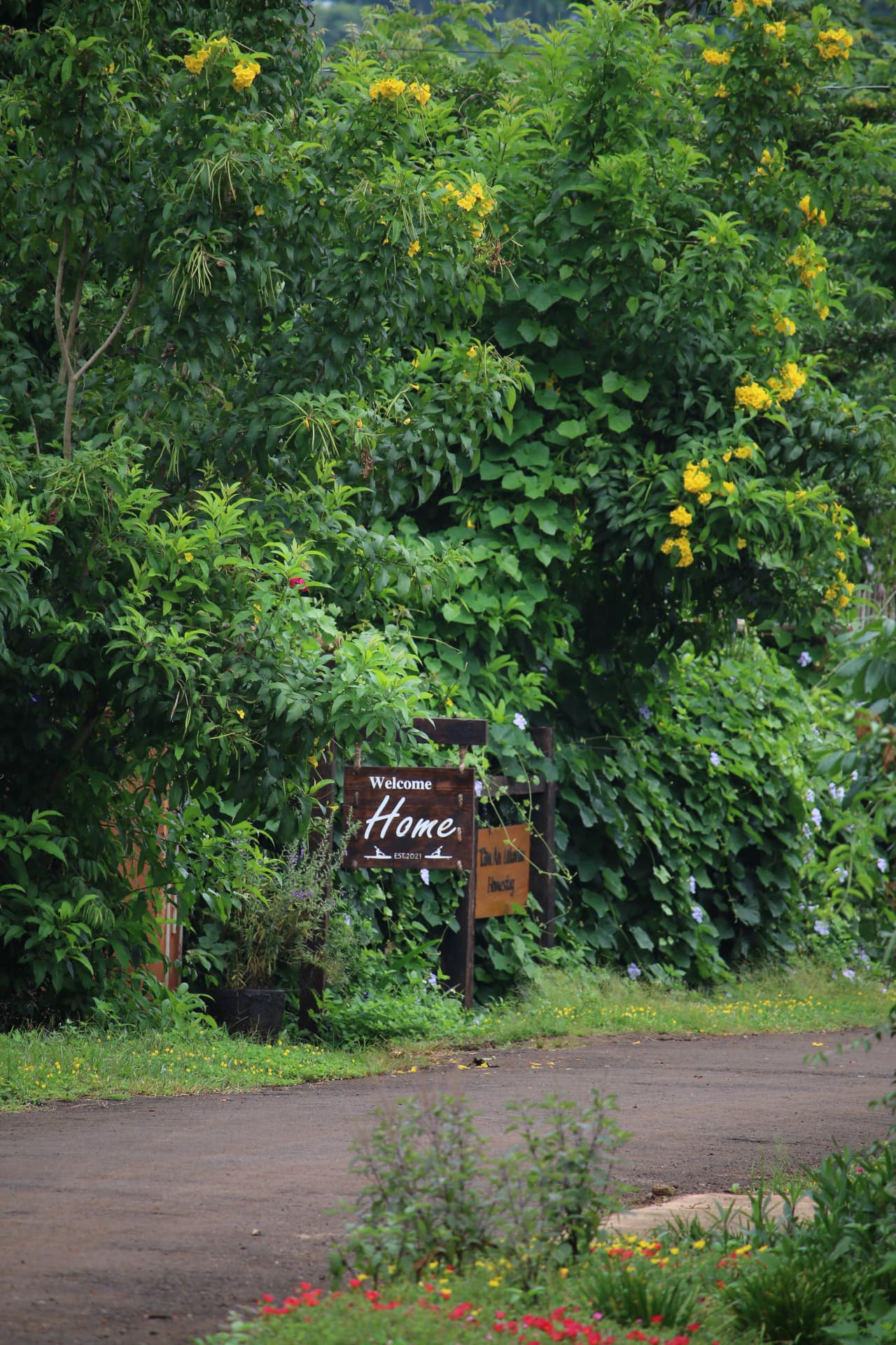 9x Sài thành kể về 