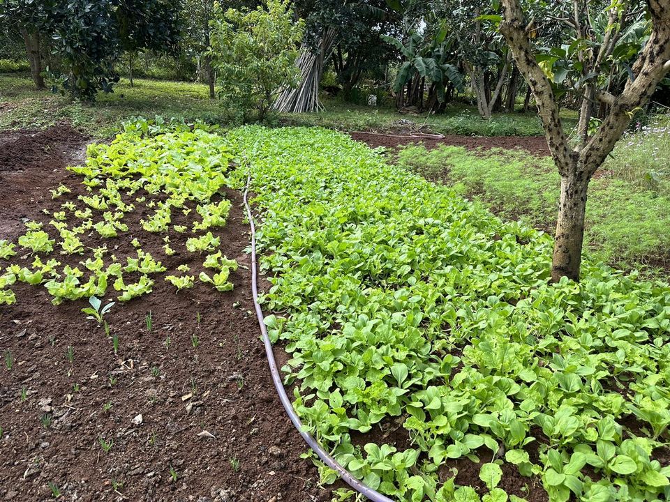 9x Sài thành kể về 