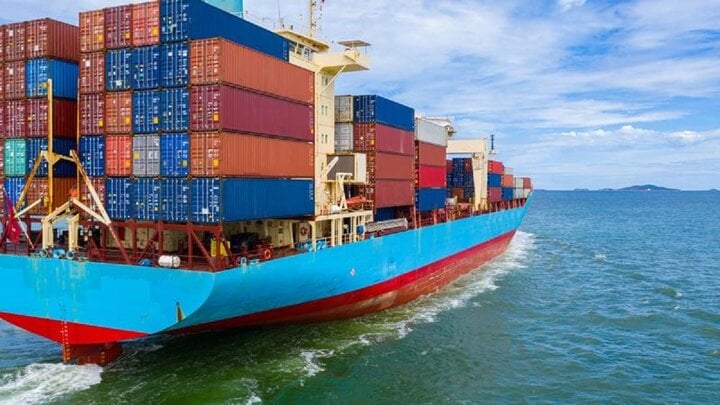 Hãng tàu ngoại tăng mạnh phí dịch vụ, doanh nghiệp xuất khẩu Việt khốn đốn- Ảnh 2.