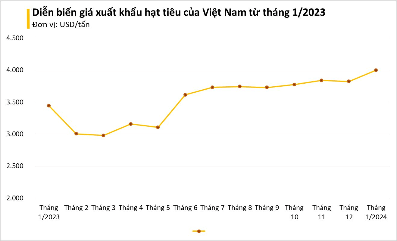 Đức bất ngờ săn lùng hàng trăm tấn 'vàng trên cây' của Việt Nam: tăng nhập khẩu hơn 400%, giá lập đỉnh giúp người dân trúng đậm- Ảnh 2.