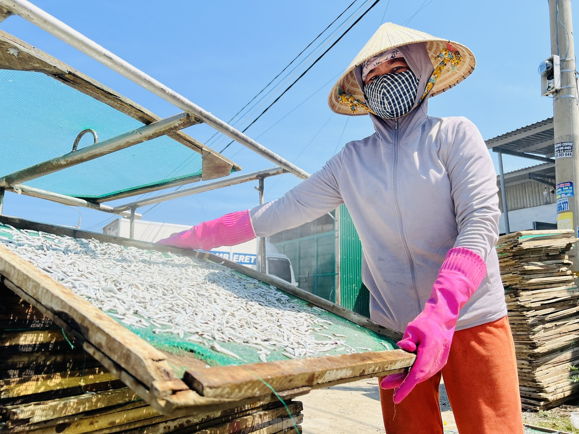 Ngư dân 'hốt bạc' vì trúng đậm mẻ cá lớn trong đêm- Ảnh 17.