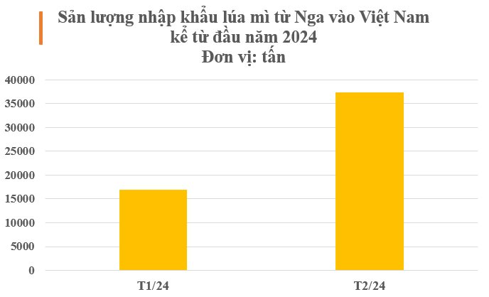 Nga ưu ái xuất sang Việt Nam báu vật đang khiến châu Âu ‘đau đầu’: Giá rẻ áp đảo các đối thủ, nước ta chi gần 300 triệu USD mua hàng- Ảnh 3.