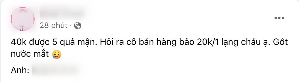 40k chỉ mua được 5 quả mận: Người ngậm ngùi 