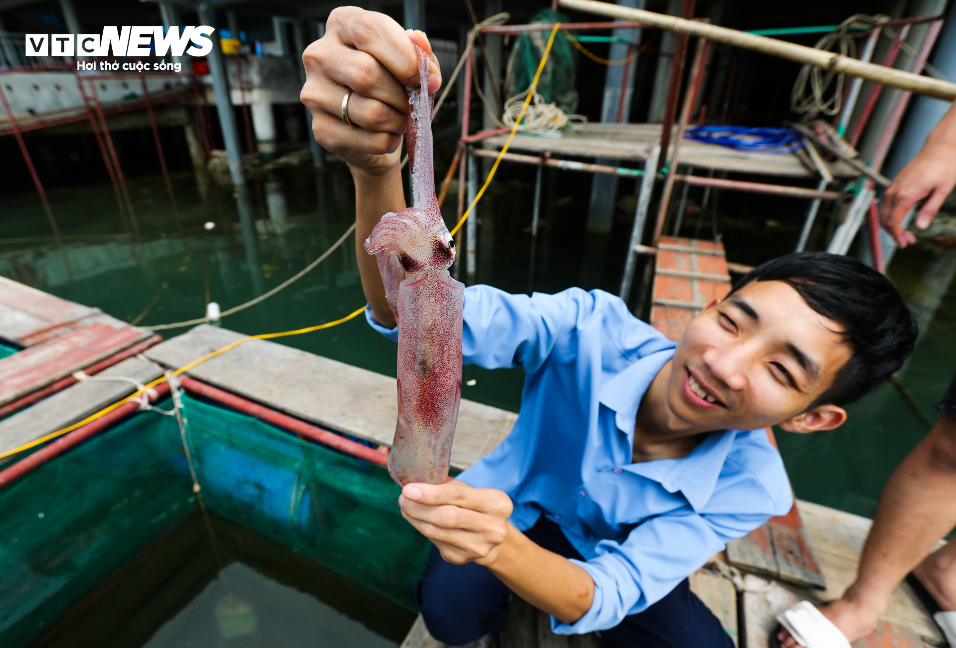 Mực nhảy Vũng Áng vào mùa, giá đắt đỏ vẫn 'cháy hàng'- Ảnh 5.