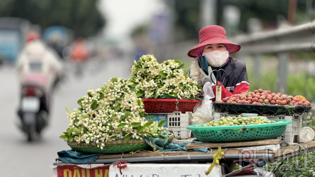 Hoa Bưởi đầu mùa ở Hà Nội bán giá 500,000 đồng/kg vẫn đắt hàng- Ảnh 2.