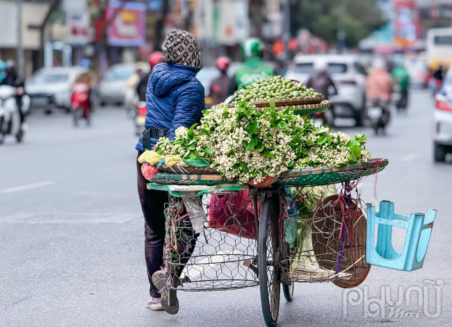 Hoa Bưởi đầu mùa ở Hà Nội bán giá 500,000 đồng/kg vẫn đắt hàng- Ảnh 1.