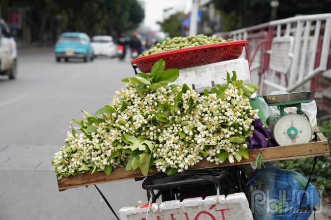 Hoa Bưởi đầu mùa ở Hà Nội bán giá 500,000 đồng/kg vẫn đắt hàng- Ảnh 10.