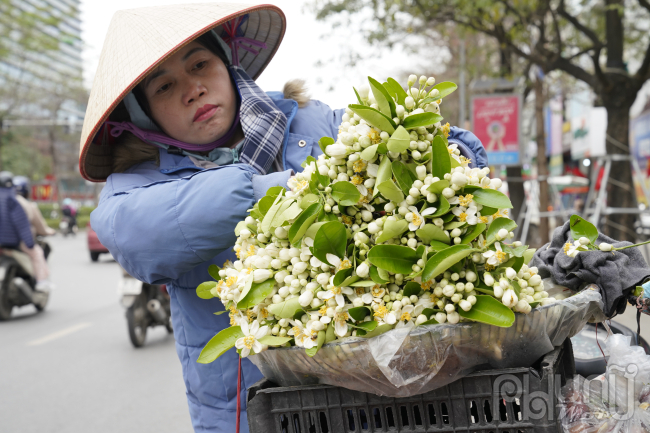 Hoa Bưởi đầu mùa ở Hà Nội bán giá 500,000 đồng/kg vẫn đắt hàng- Ảnh 6.