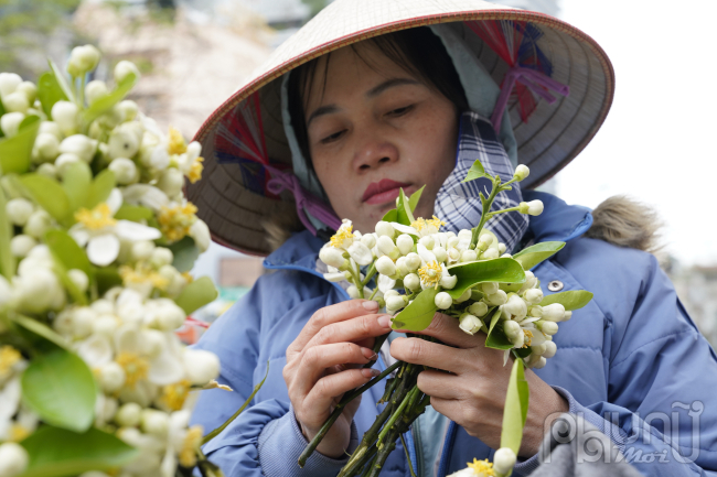 Hoa Bưởi đầu mùa ở Hà Nội bán giá 500,000 đồng/kg vẫn đắt hàng- Ảnh 4.