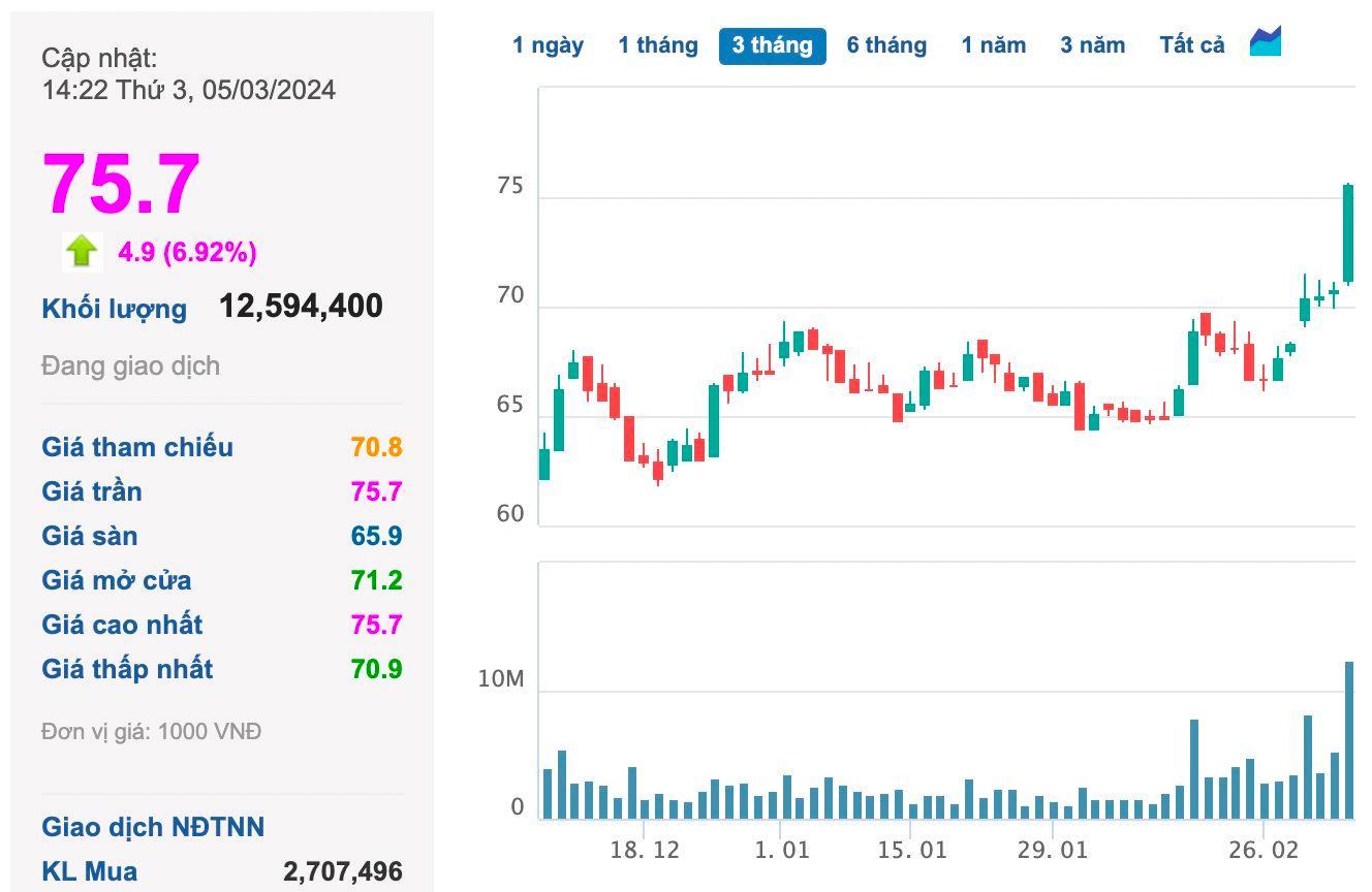 Masan (MSN) nhập cuộc đua tăng trần: 250 triệu USD sắp nhận của Bain Capital 