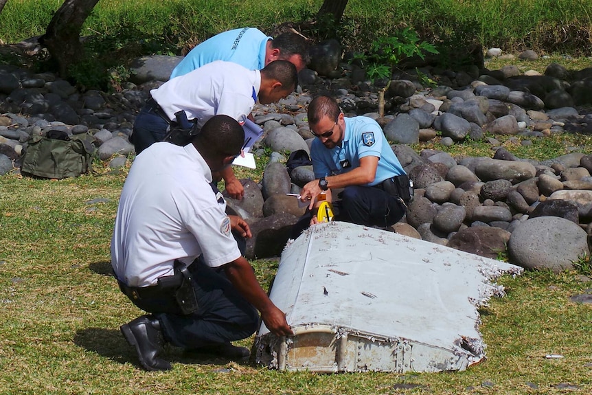 MH370 mất tích 10 năm, công ty Mỹ tiết lộ đề xuất đặc biệt- Ảnh 2.