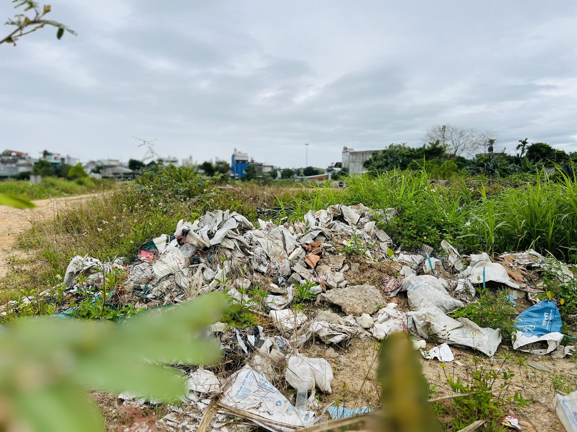 Cỏ mọc um tùm, rác chất đống tại dự án khu dân cư 400 tỷ ở Quảng Ngãi- Ảnh 9.