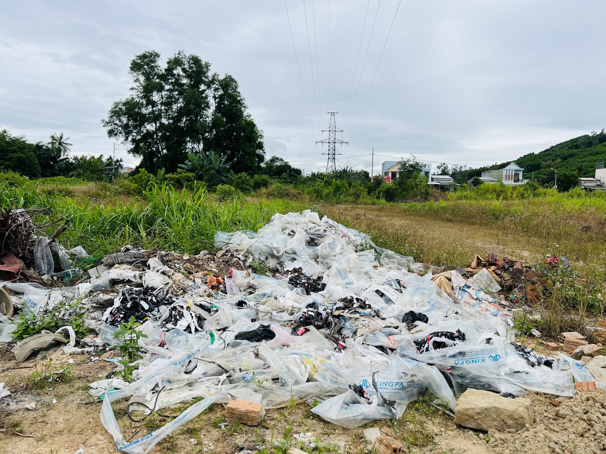 Cỏ mọc um tùm, rác chất đống tại dự án khu dân cư 400 tỷ ở Quảng Ngãi- Ảnh 8.