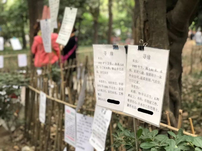 Nghề mai mối dạo trong công viên ở Thượng Hải (Trung Quốc): Mua dịch vụ hơn 300.000/tháng thì có thể tìm được bạn đời lý tưởng?- Ảnh 4.