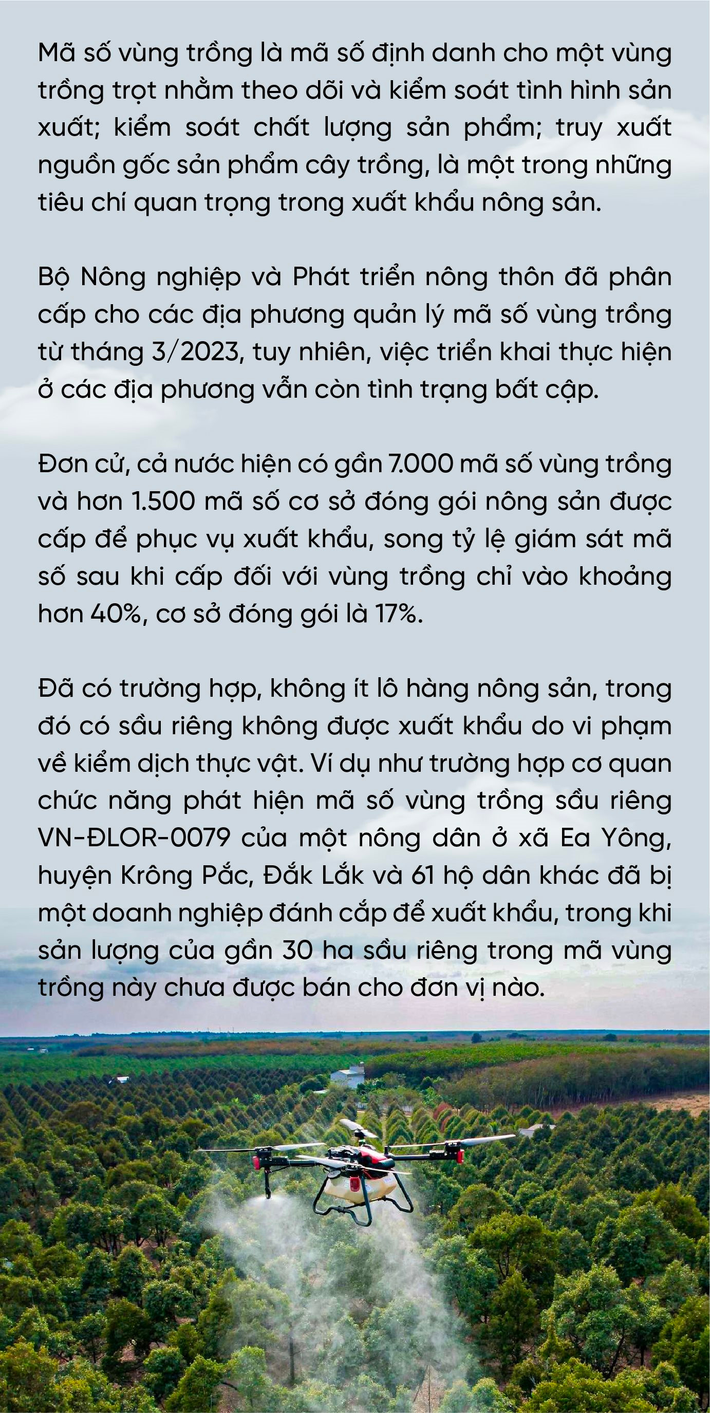 Doanh nhân Nguyễn Thị Thành Thực: Người Hàn Quốc sang Việt Nam làm chủ lĩnh vực công nghiệp, thì người Việt Nam cũng có thể làm chủ trong nông nghiệp ở Hàn Quốc- Ảnh 2.