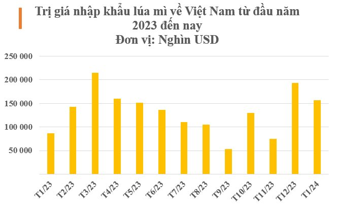 Một loại nông sản từ Brazil vào Việt Nam bất ngờ tăng nóng hơn 28.000%: Nước ta nhập khẩu nửa triệu tấn trong tháng 1, Nga thống trị thị trường toàn cầu năm 2023- Ảnh 1.