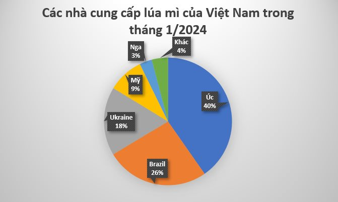 Một loại nông sản từ Brazil vào Việt Nam bất ngờ tăng nóng hơn 28.000%: Nước ta nhập khẩu nửa triệu tấn trong tháng 1, Nga thống trị thị trường toàn cầu năm 2023- Ảnh 2.