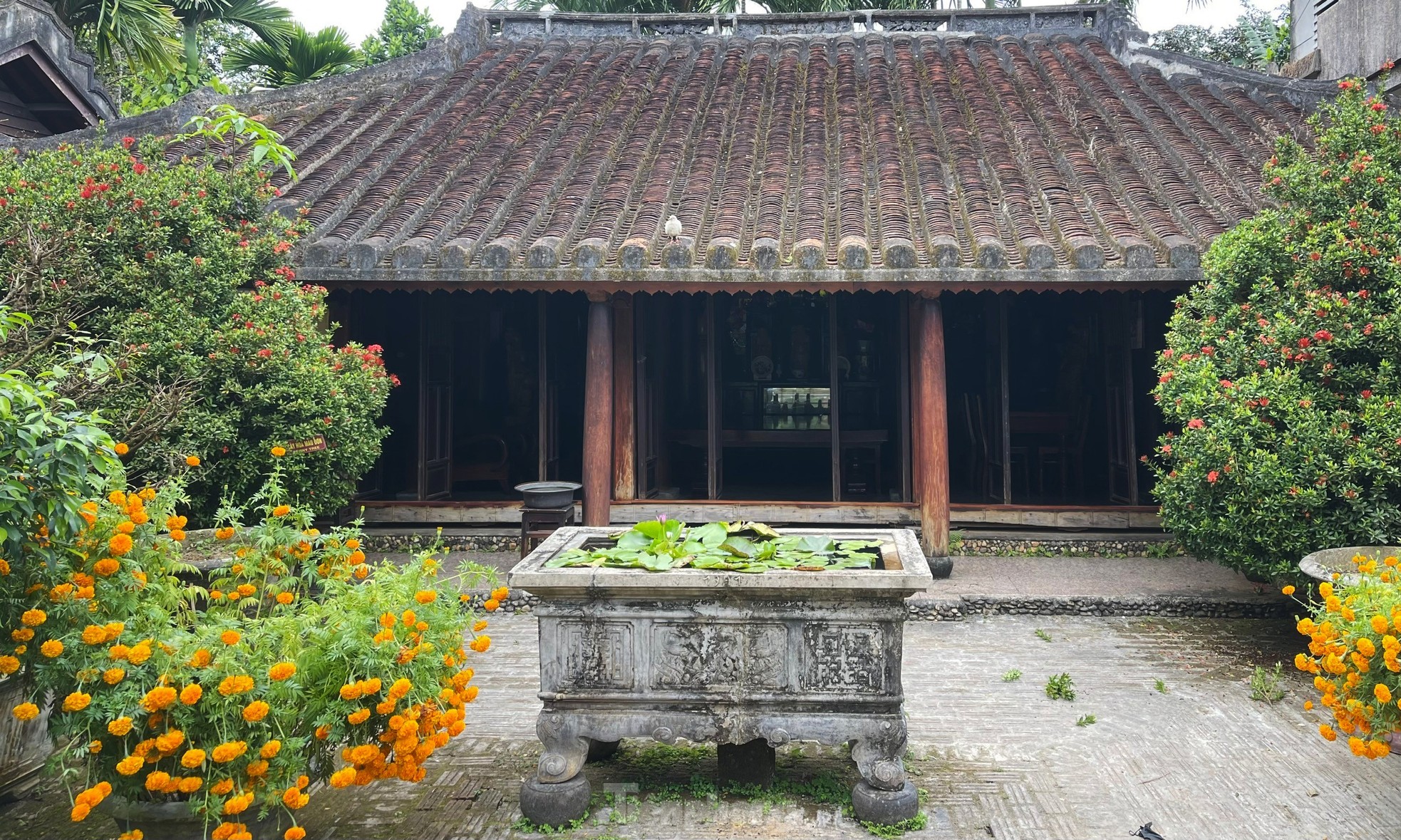 Ngôi nhà cổ hơn 200 năm tuổi ở Đà Nẵng- Ảnh 9.