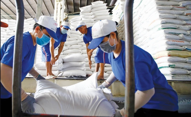 Giá gạo Việt giảm sâu, nhường ngôi cao nhất thế giới cho gạo Thái Lan- Ảnh 1.