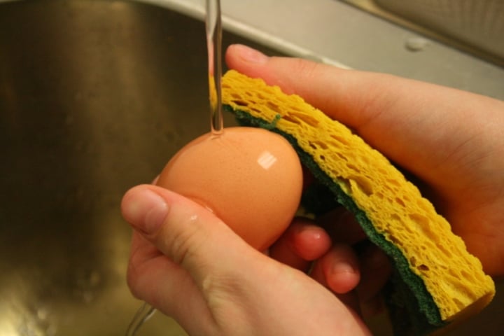 Mua trứng về có nên rửa sạch trước khi cho vào tủ lạnh? Vấn đề đơn giản nhưng không phải ai cũng biết- Ảnh 1.