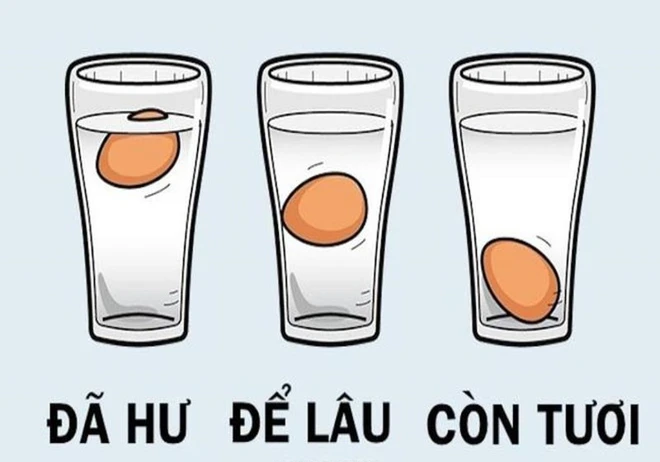 Cho quả trứng vào cốc nước, trứng tươi sẽ chìm hay nổi? Câu hỏi đơn giản mà không phải ai cũng biết- Ảnh 2.