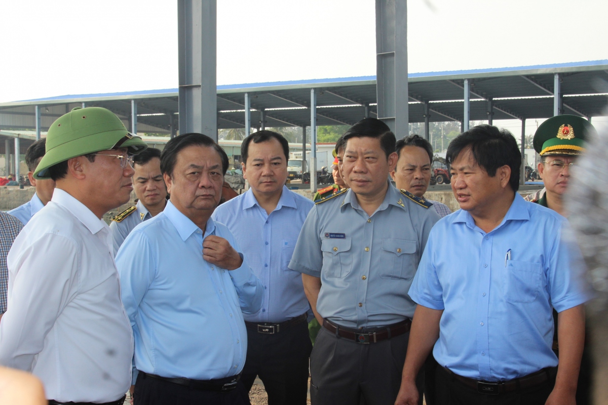 Bộ trưởng Lê Minh Hoan: “Tìm con sâu đã ảnh hưởng chống khai thác IUU”- Ảnh 6.