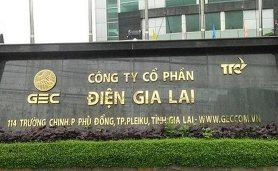 Điện Gia Lai hoãn họp ĐHCĐ thường niên 2024- Ảnh 1.