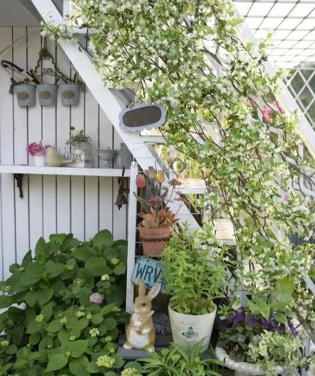 Khu vườn trên sân thượng "gây sốt": Cô giáo Tiếng Anh khẳng định không sai lầm khi chi tiền tỷ mua nhà mặt đất để có khuôn viên trồng hoa