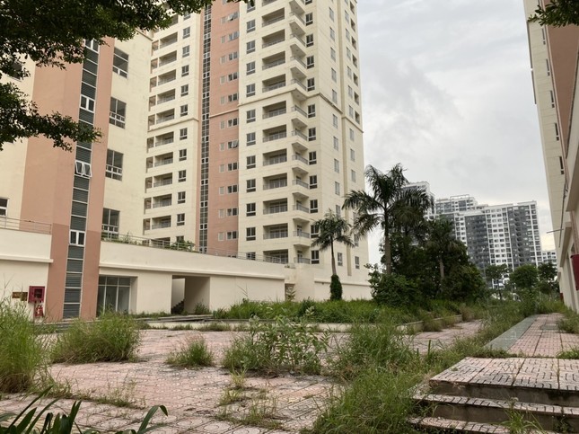 Bán đấu giá 3.790 căn hộ tái định cư ở TPHCM lại bế tắc- Ảnh 2.
