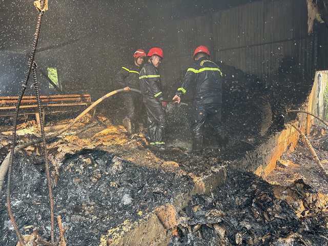 Hình ảnh hoang tàn sau đám cháy tại một công ty bao bì ở Bình Dương- Ảnh 3.