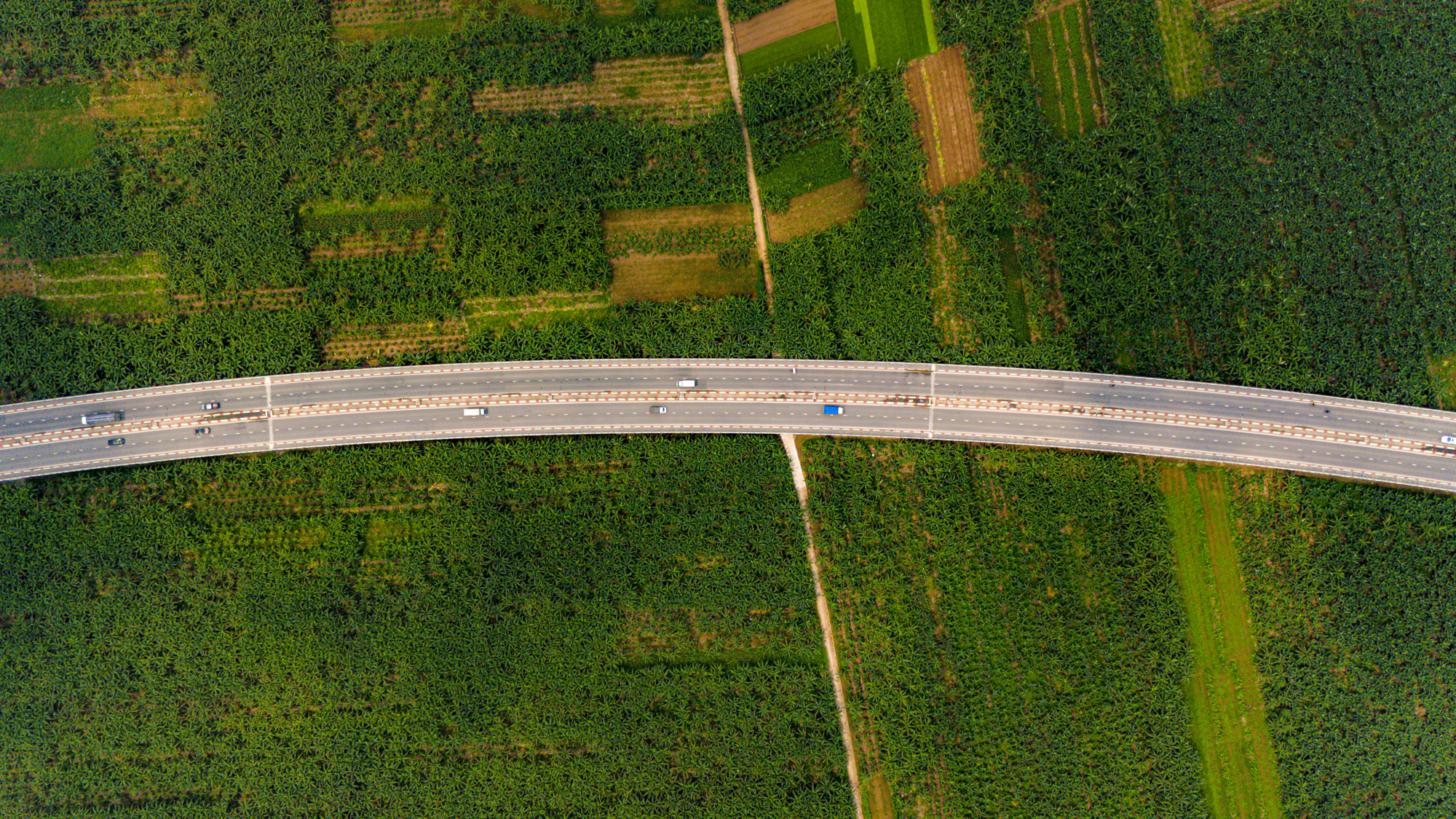 Cần cẩu siêu trọng đi suốt một tháng để dựng nên cầu 1.900 tỷ, có vòm thép cao nhất Việt Nam- Ảnh 8.