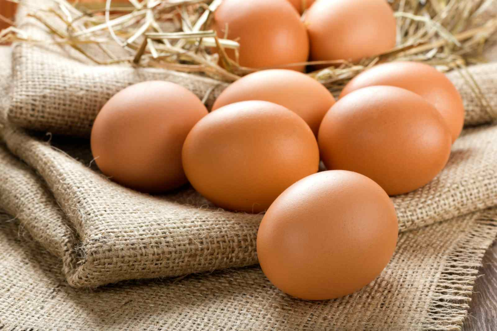 Trứng gà, trứng vịt, trứng ngỗng, trứng cút, loại nào bổ dưỡng hơn? Chuyên gia: Riêng loại trứng này ăn càng ít càng tốt- Ảnh 1.