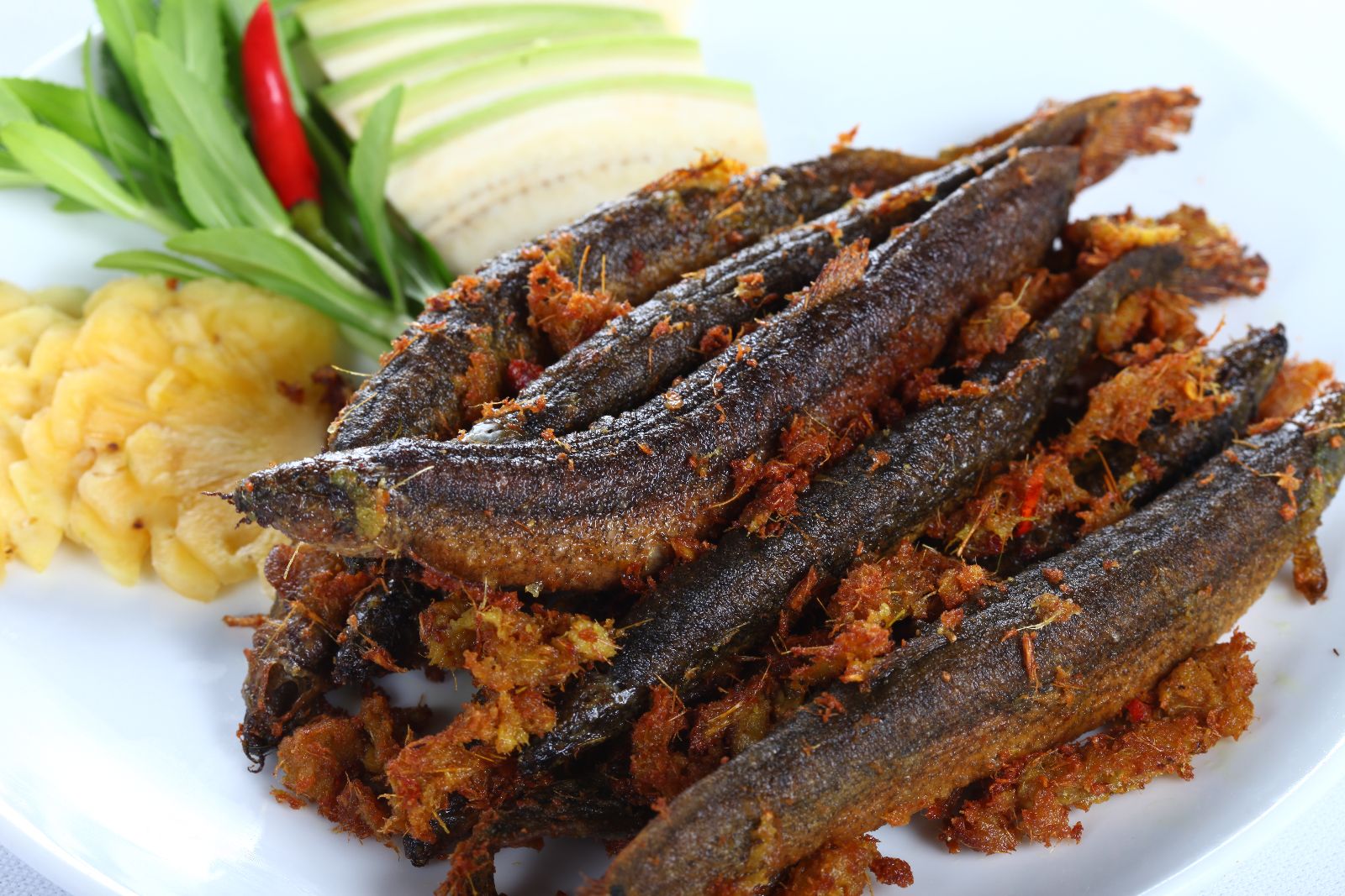 Việt Nam có 2 loại “cá trường thọ” tốt ngang nhân sâm, tổ yến: Ăn vào giúp bổ máu, dưỡng thận, hạ đường huyết hiệu quả- Ảnh 1.