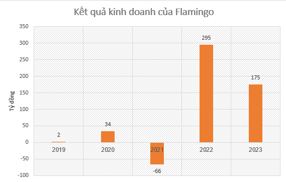 Flamingo báo lãi 175 tỷ đồng trong năm 2023, đầu tư  loạt dự án mới tại Hà Nam, Tuyên Quang- Ảnh 1.
