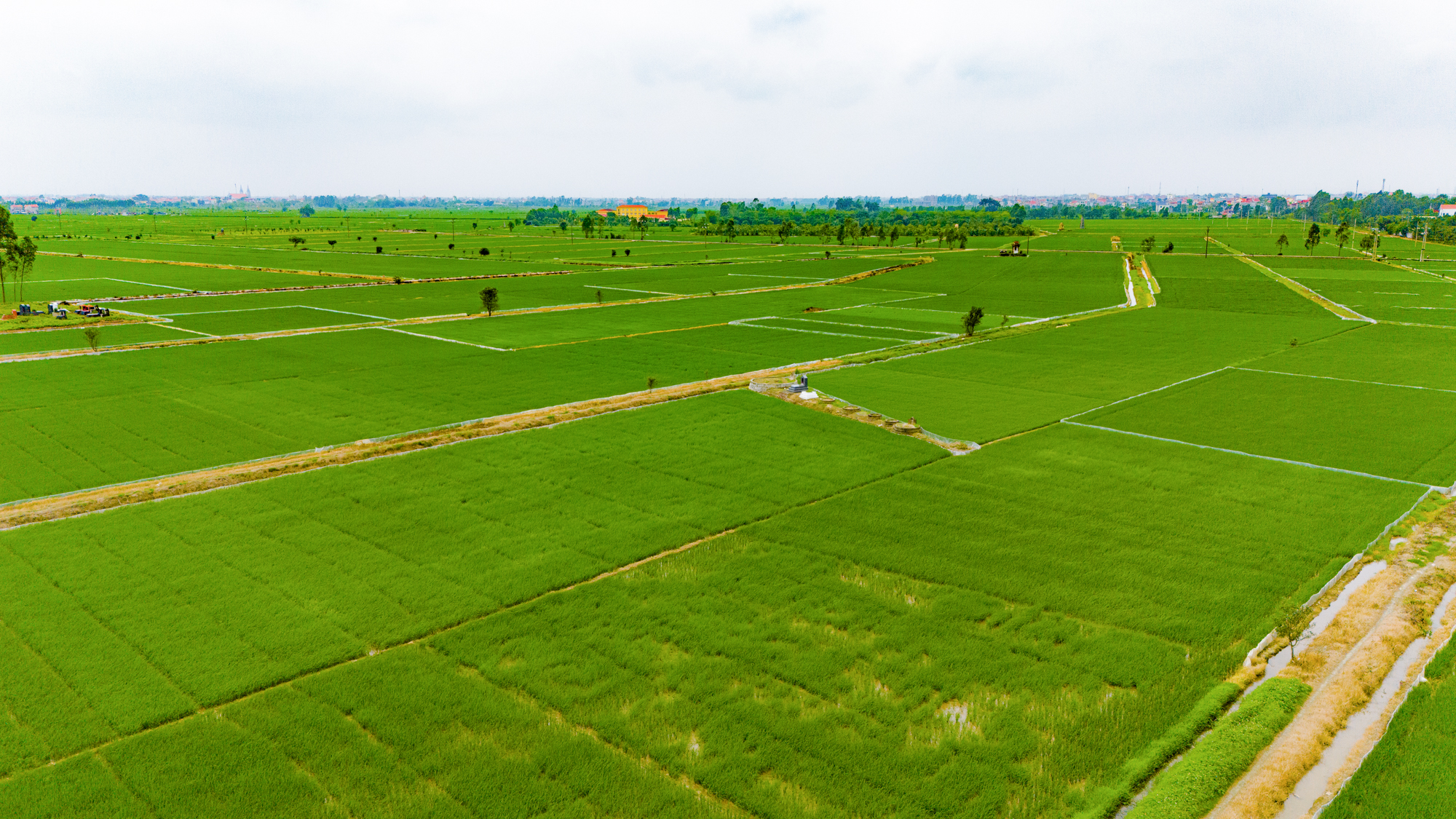 Toàn cảnh khu vực được quy hoạch làm sân bay đầu tiên của tỉnh Bắc Ninh, nằm giữa 4 thành phố, cách Hồ Gươm chỉ 40 km- Ảnh 7.