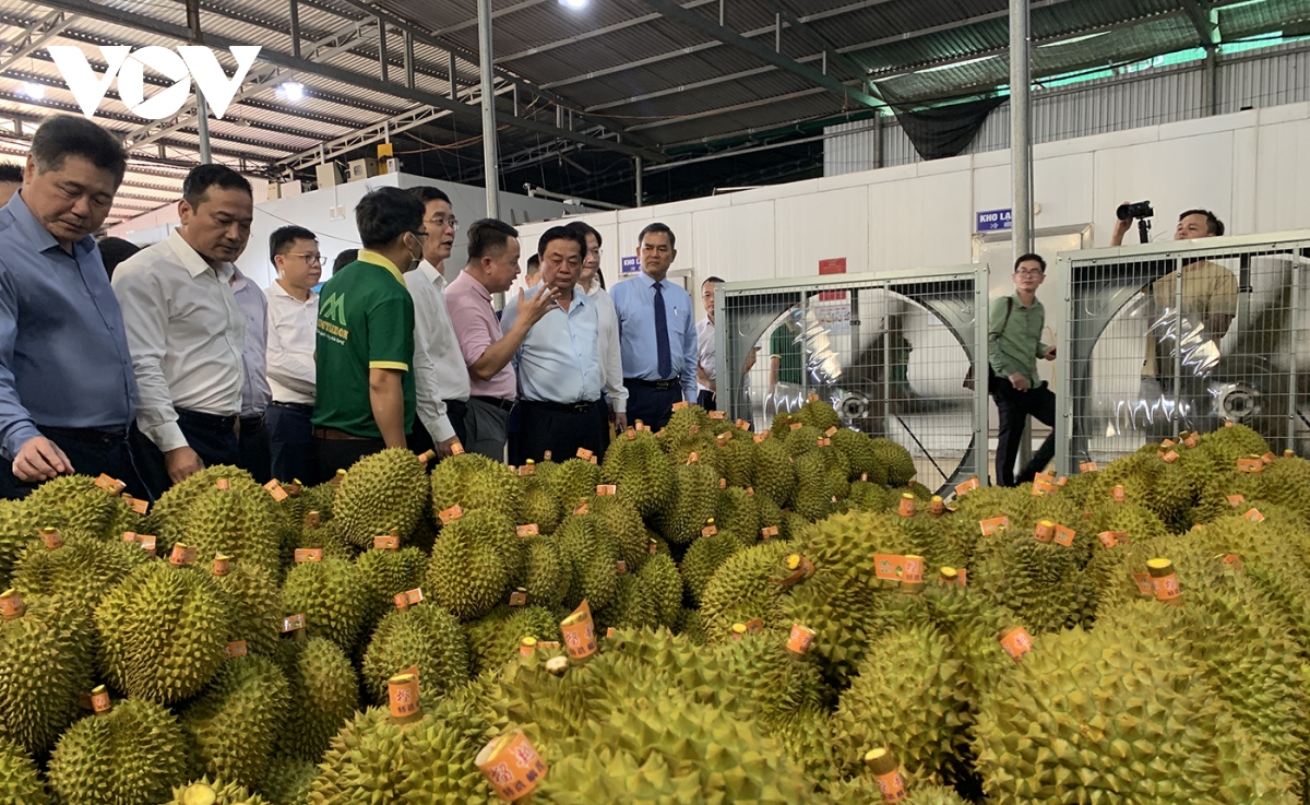 Đắk Nông chuẩn bị sẵng sàng cho cao tốc Gia Nghĩa - Chơn Thành- Ảnh 4.